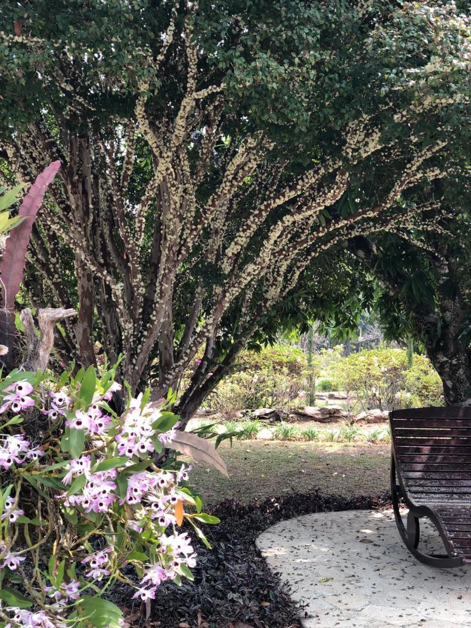 Reserva Querubins Andrelândia 外观 照片